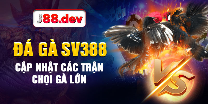 Đá gà SV388 cập nhật các trận chọi gà lớn Đá gà SV388 cập nhật các trận chọi gà lớn