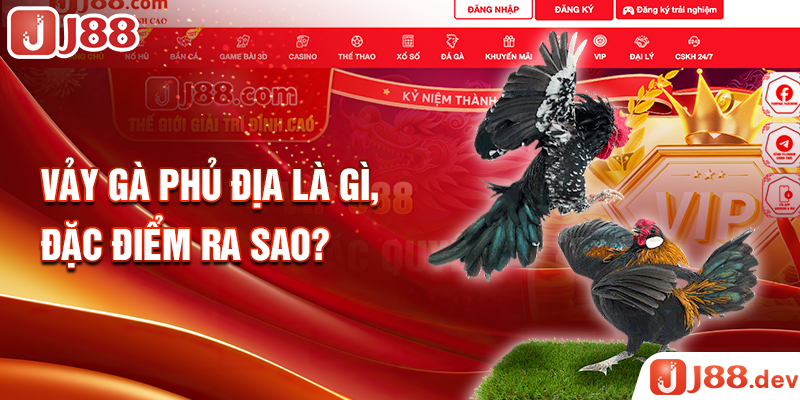 Vảy gà phủ địa là gì, đặc điểm ra sao?