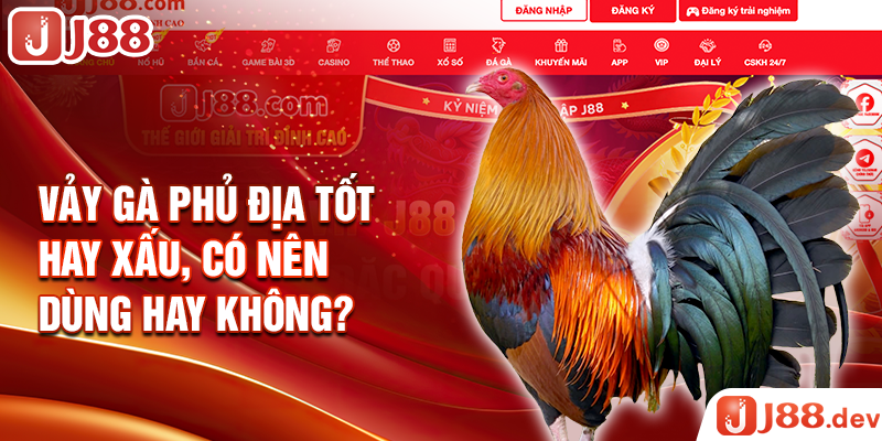 Vảy gà phủ địa tốt hay xấu, có nên dùng hay không?