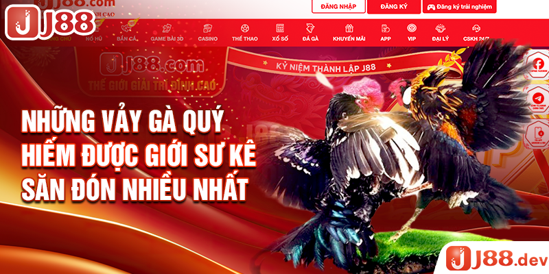 Những vảy gà quý hiếm được giới sư kê săn đón nhiều nhất