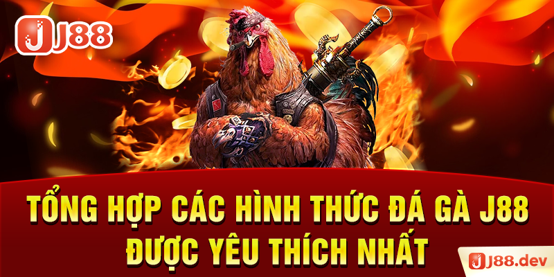 Tổng hợp các hình thức đá gà J88 được yêu thích nhất
