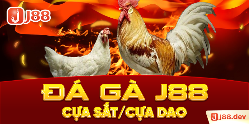 Đá gà J88 – Cựa sắt/cựa dao
