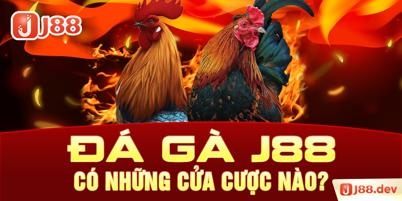 Đá gà J88 có những cửa cược nào?