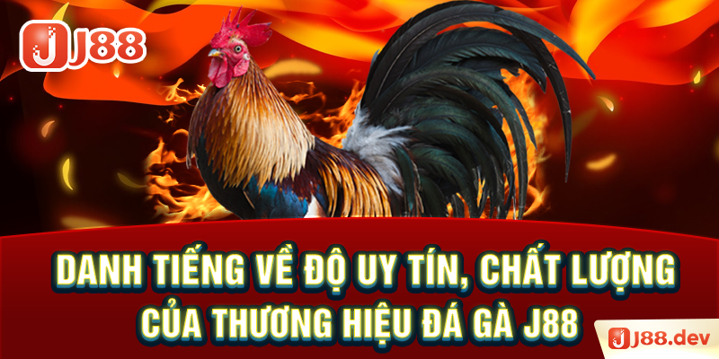 Danh tiếng về độ uy tín, chất lượng của thương hiệu đá gà J88