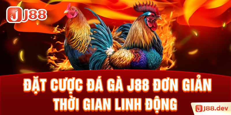 Đặt cược đá gà J88 đơn giản, thời gian linh động