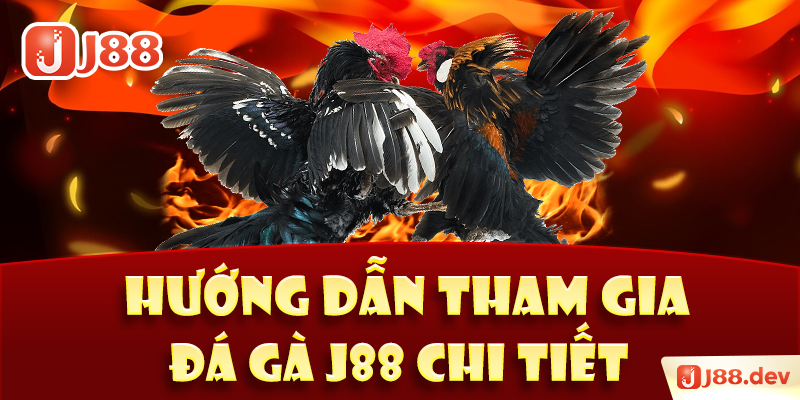 Hướng dẫn tham gia đá gà J88 chi tiết