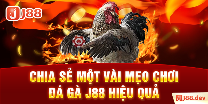 Chia sẻ một vài mẹo chơi đá gà J88 hiệu quả