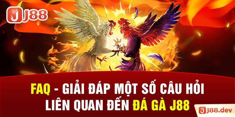 FAQ - Giải đáp một số câu hỏi liên quan đến đá gà J88