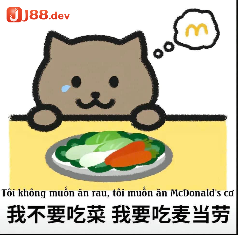 Ước mơ nhỏ nhoi của Mèo Béo trước khi tự kết thúc cuộc đời