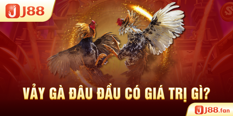 Vảy gà Đâu Đầu có giá trị gì?