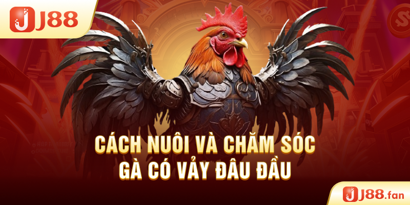Cách nuôi và chăm sóc gà có vảy Đâu Đầu