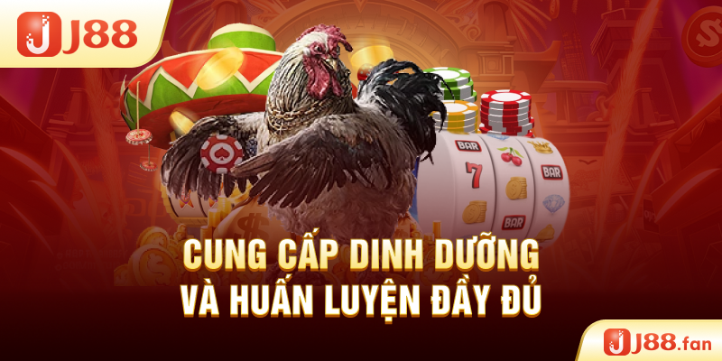 Cung cấp dinh dưỡng và huấn luyện đầy đủ