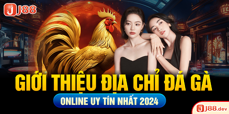 Giới thiệu địa chỉ đá gà online uy tín nhất 2024