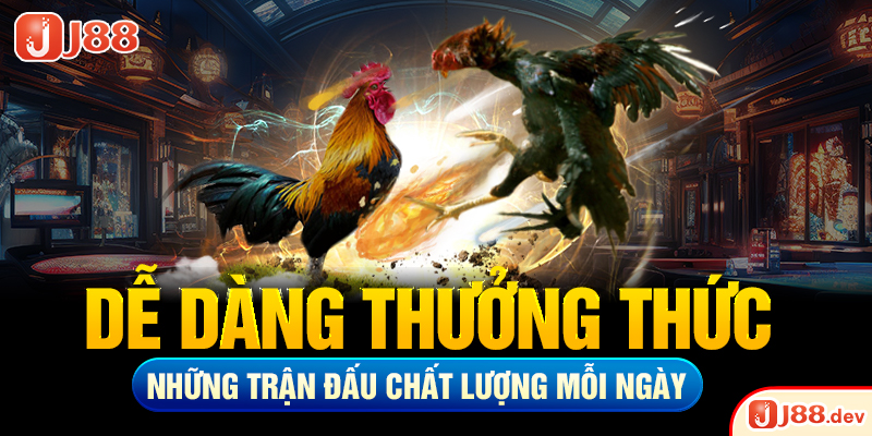 Dễ dàng thưởng thức những trận đấu chất lượng mỗi ngày